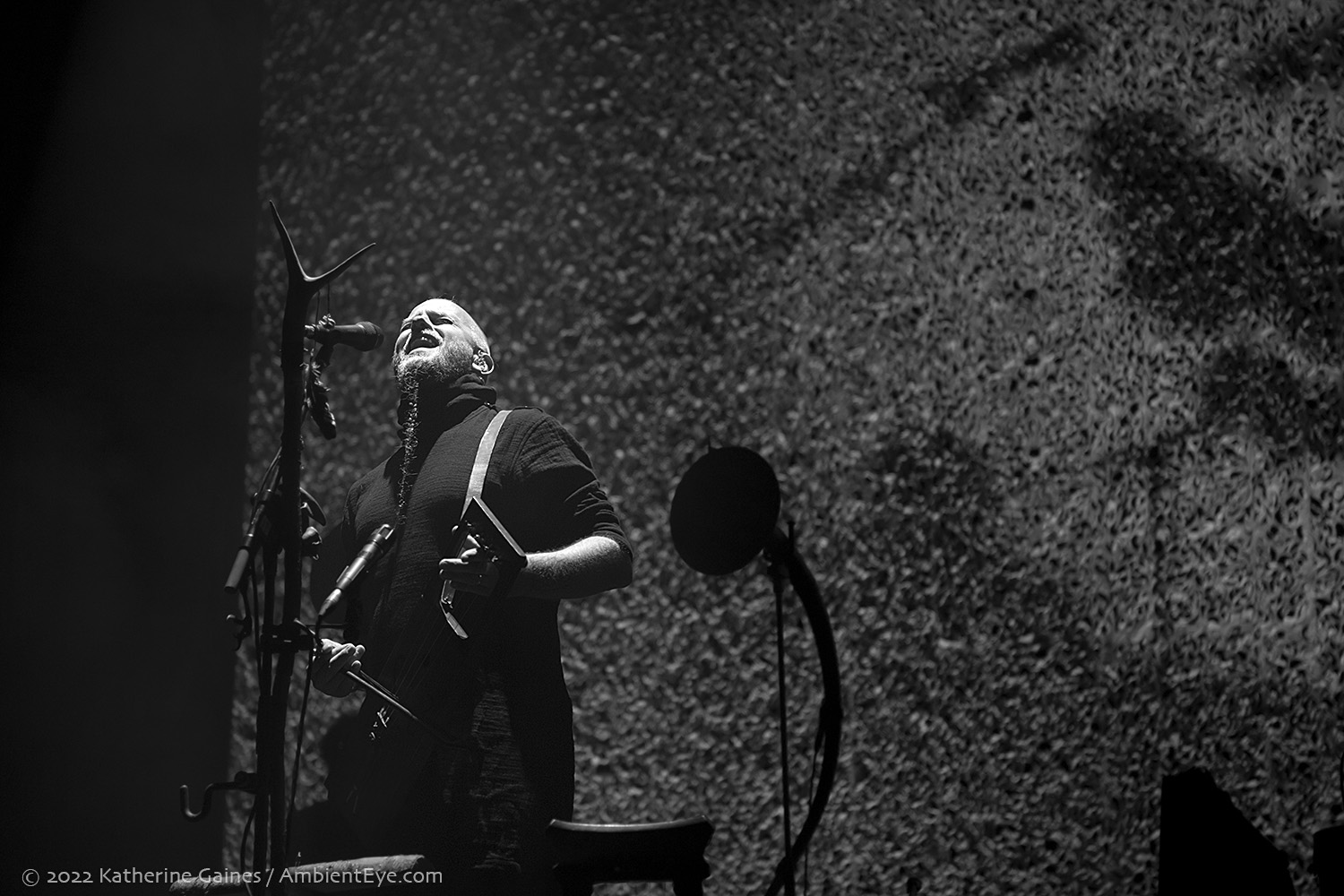 Wardruna
