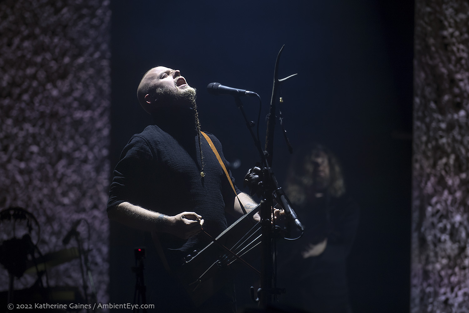 Wardruna