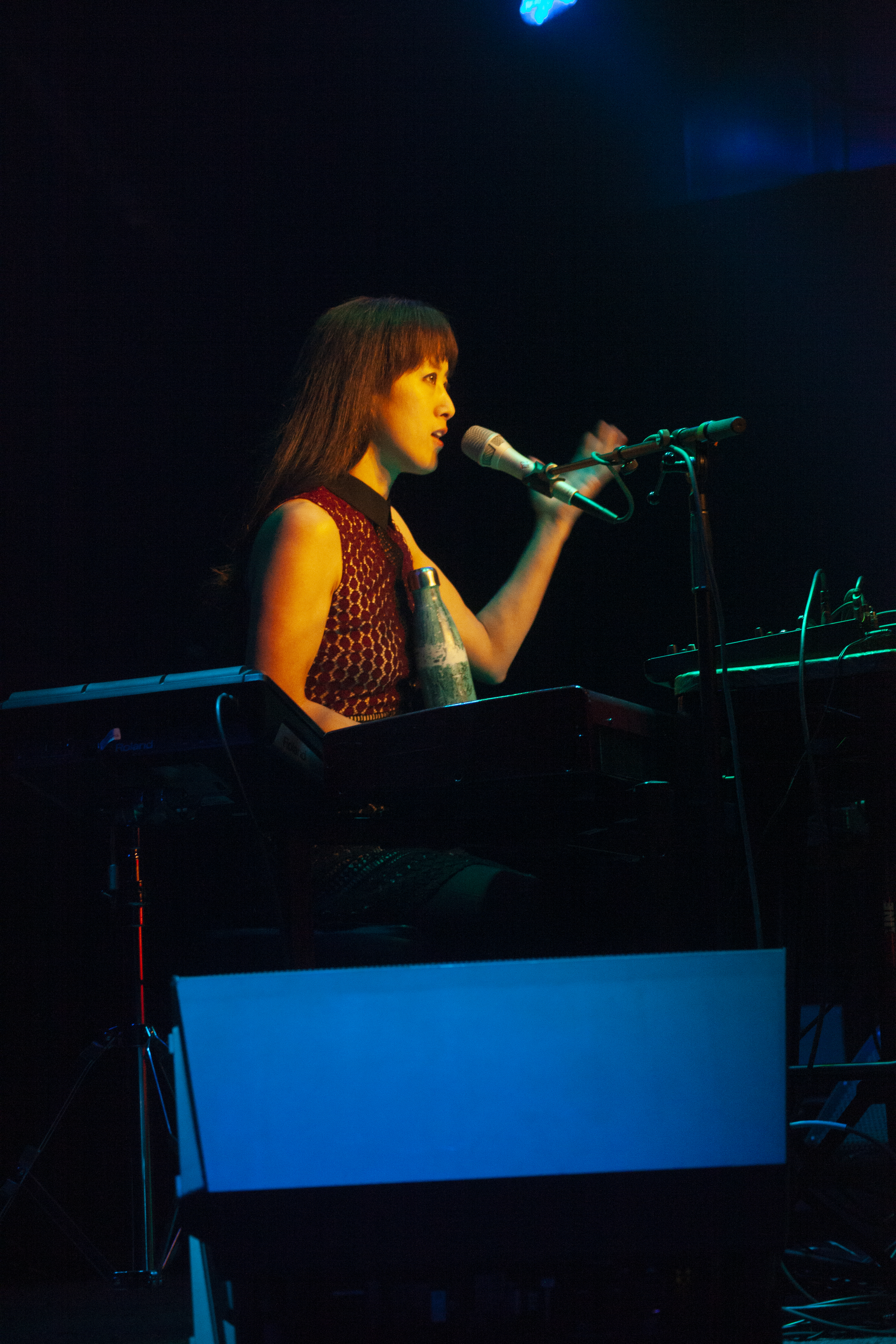 Vienna Teng at Jammin Java