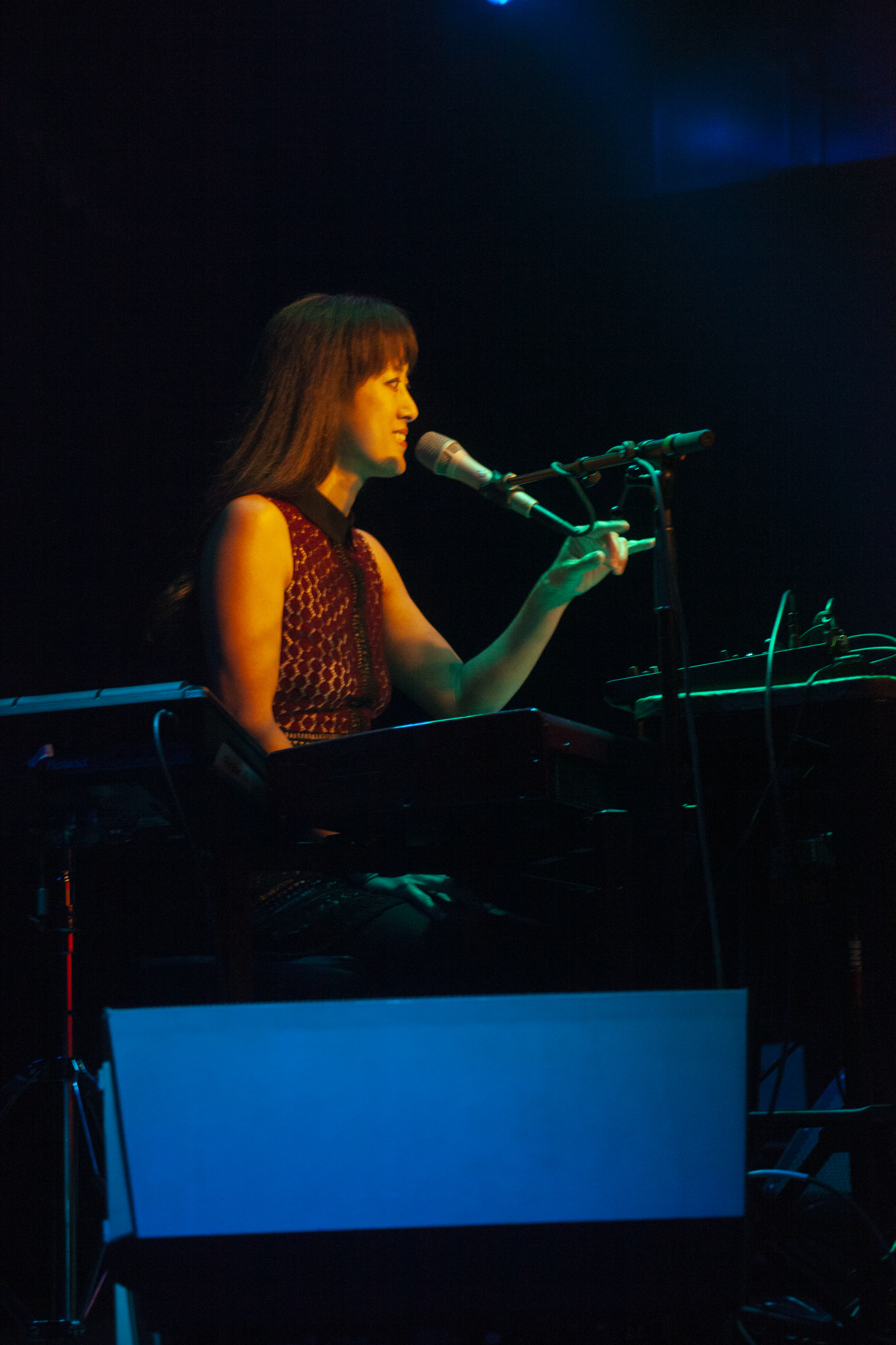 Vienna Teng at Jammin Java