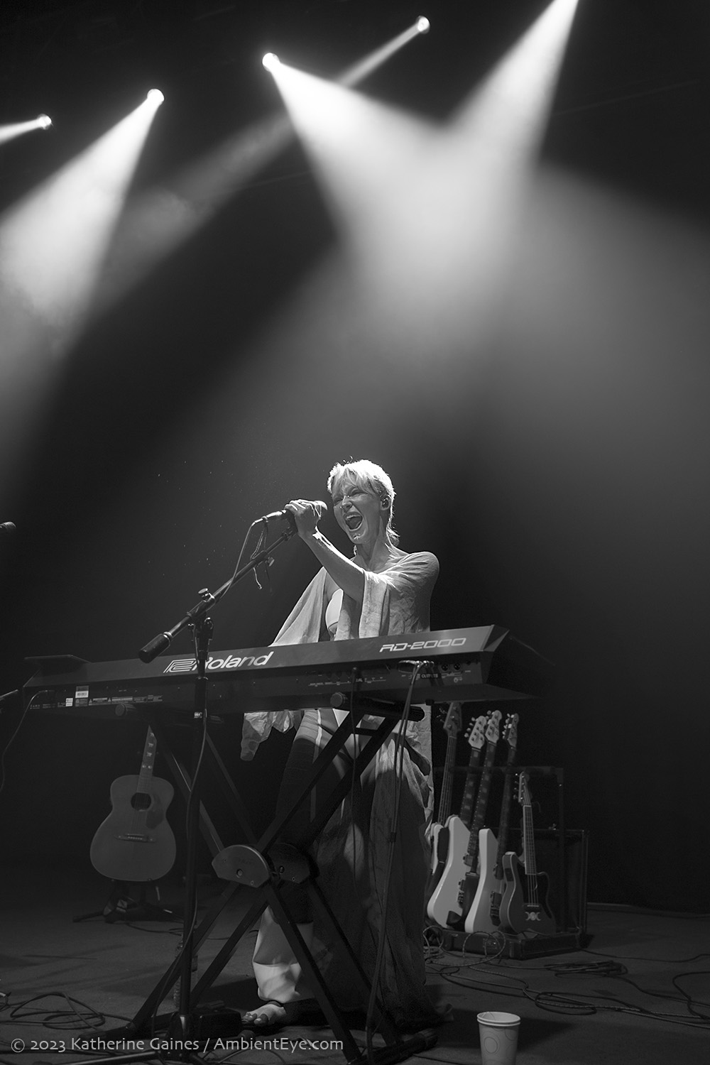 meg myers, 9:30 club, katherine gaines, ambienteye photography
