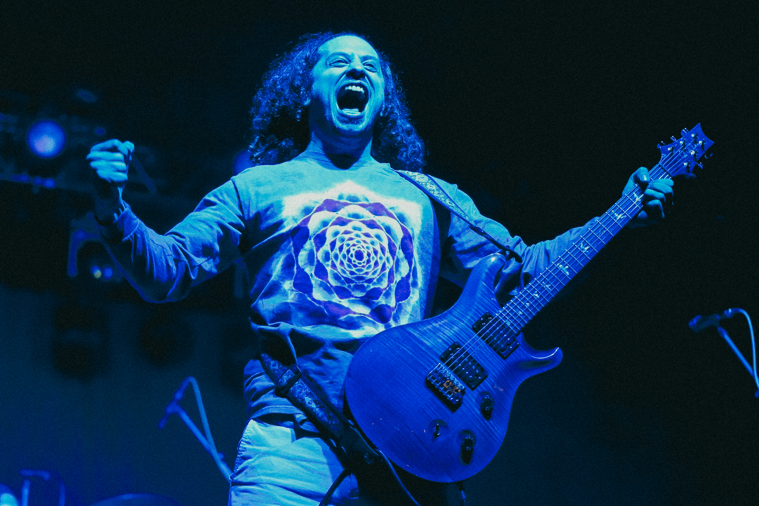 Pigeons Playing Ping Pong