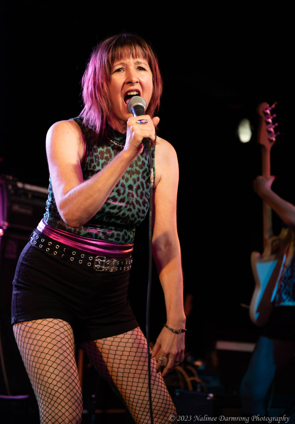 Black Cat Anniversary