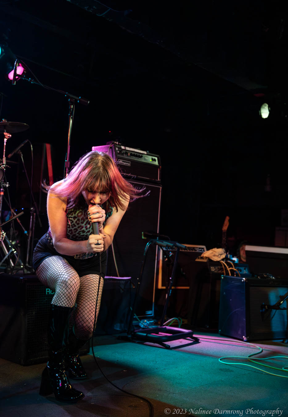 Black Cat Anniversary