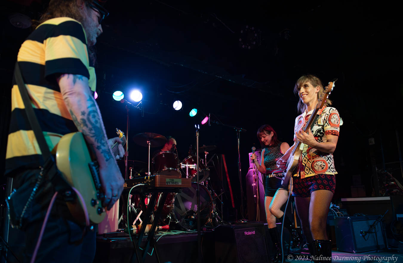 Black Cat Anniversary