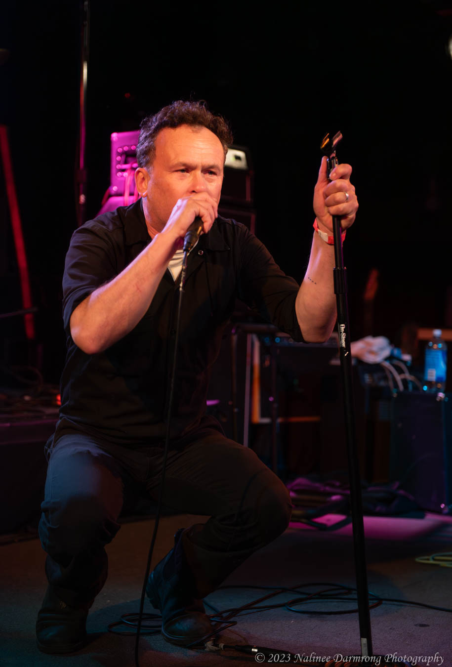 Black Cat Anniversary