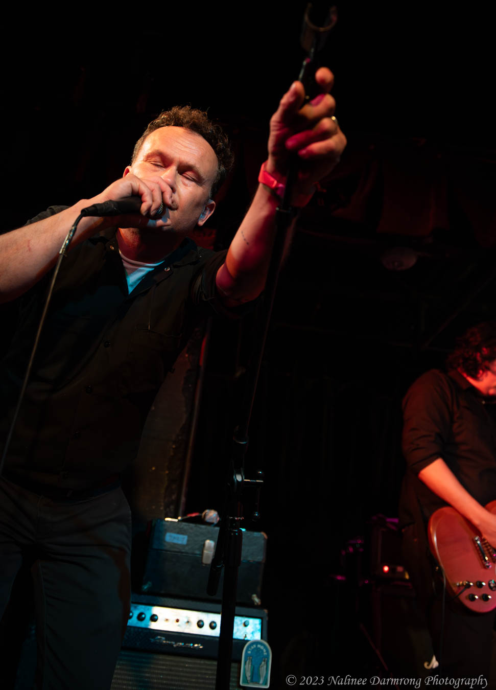 Black Cat Anniversary