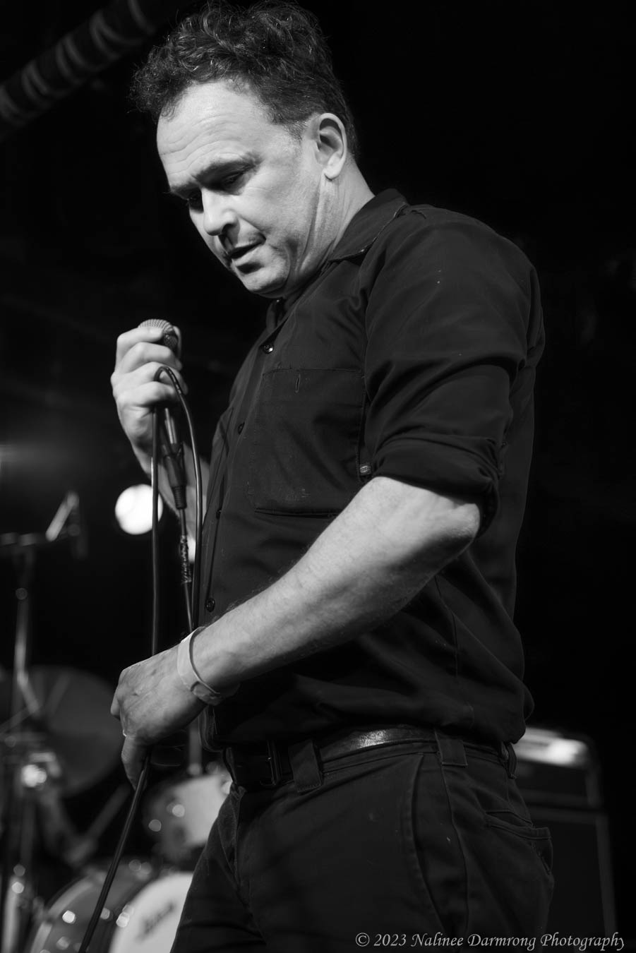 Black Cat Anniversary