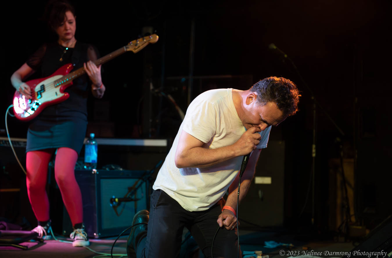 Black Cat Anniversary