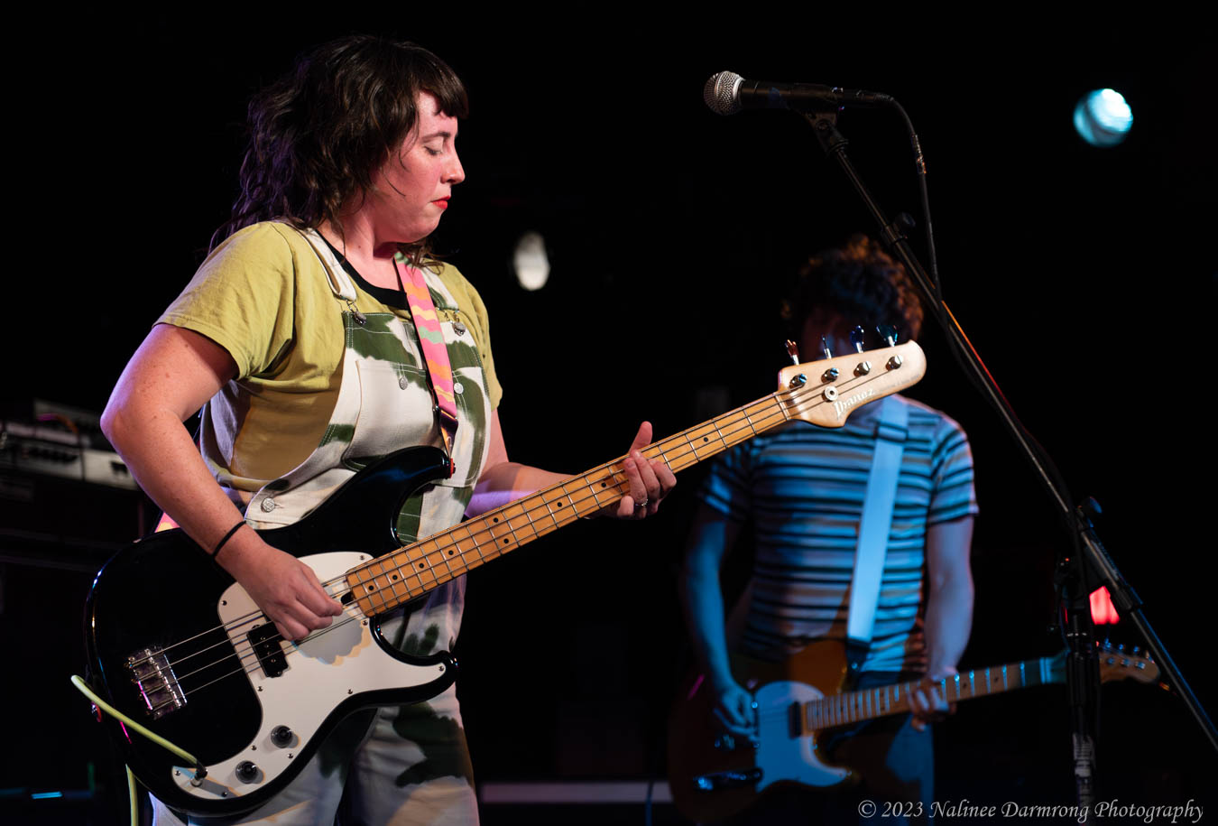 Black Cat Anniversary