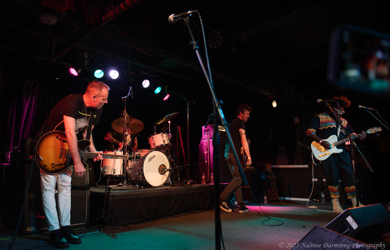 Black Cat Anniversary