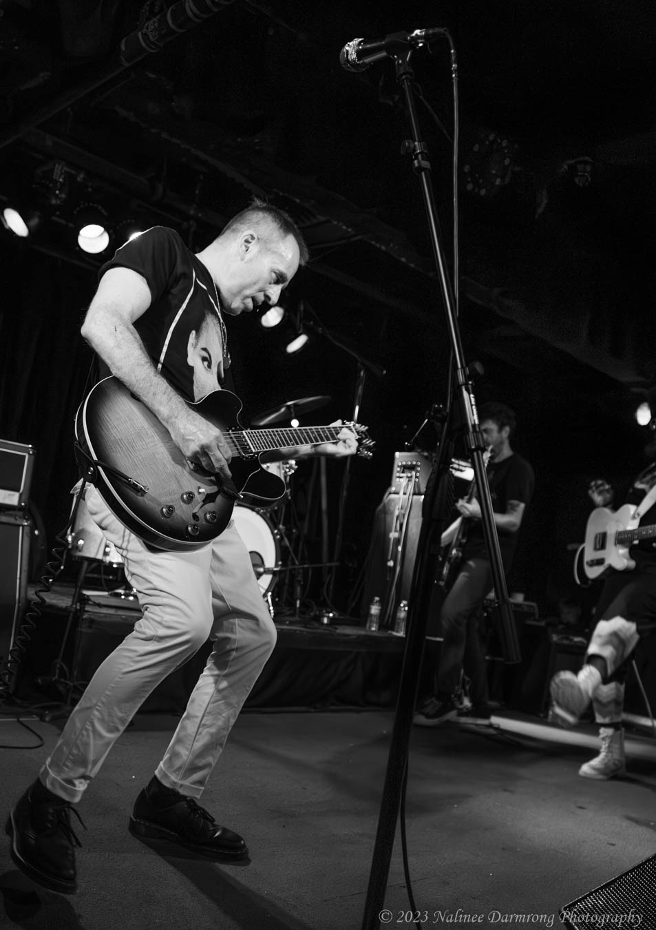 Black Cat Anniversary