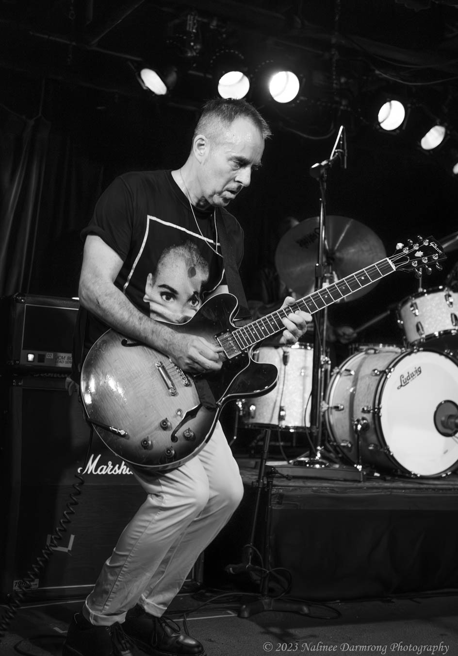 Black Cat Anniversary