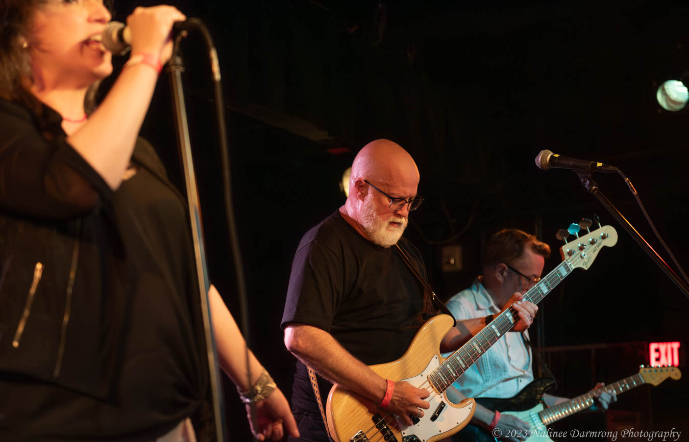 Black Cat Anniversary