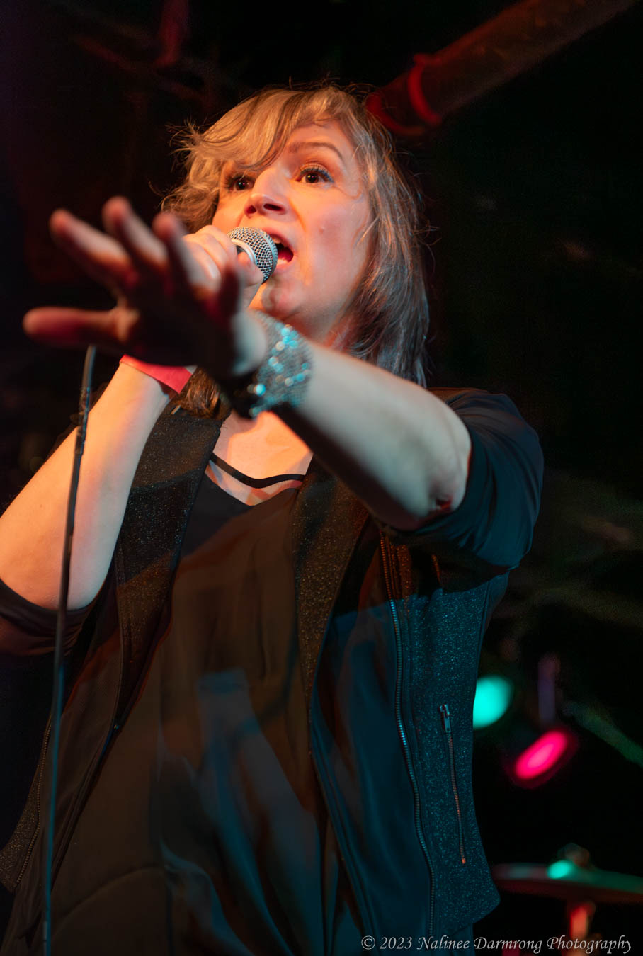 Black Cat Anniversary