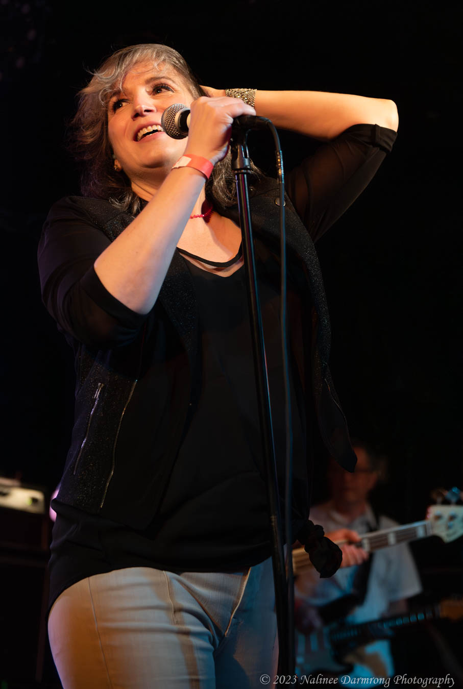 Black Cat Anniversary