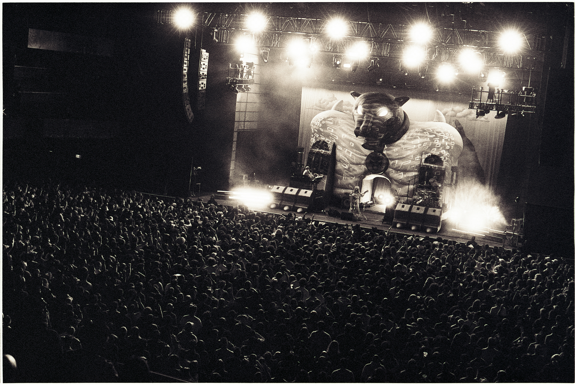 Thundercat - The Anthem Washington DC - 10.19.23 35mm BW Photo by Casey Ryan Vock (11) Thundercat @ The Anthem Washington DC 10.19.23 35mm Film Photo by Casey Ryan Vock