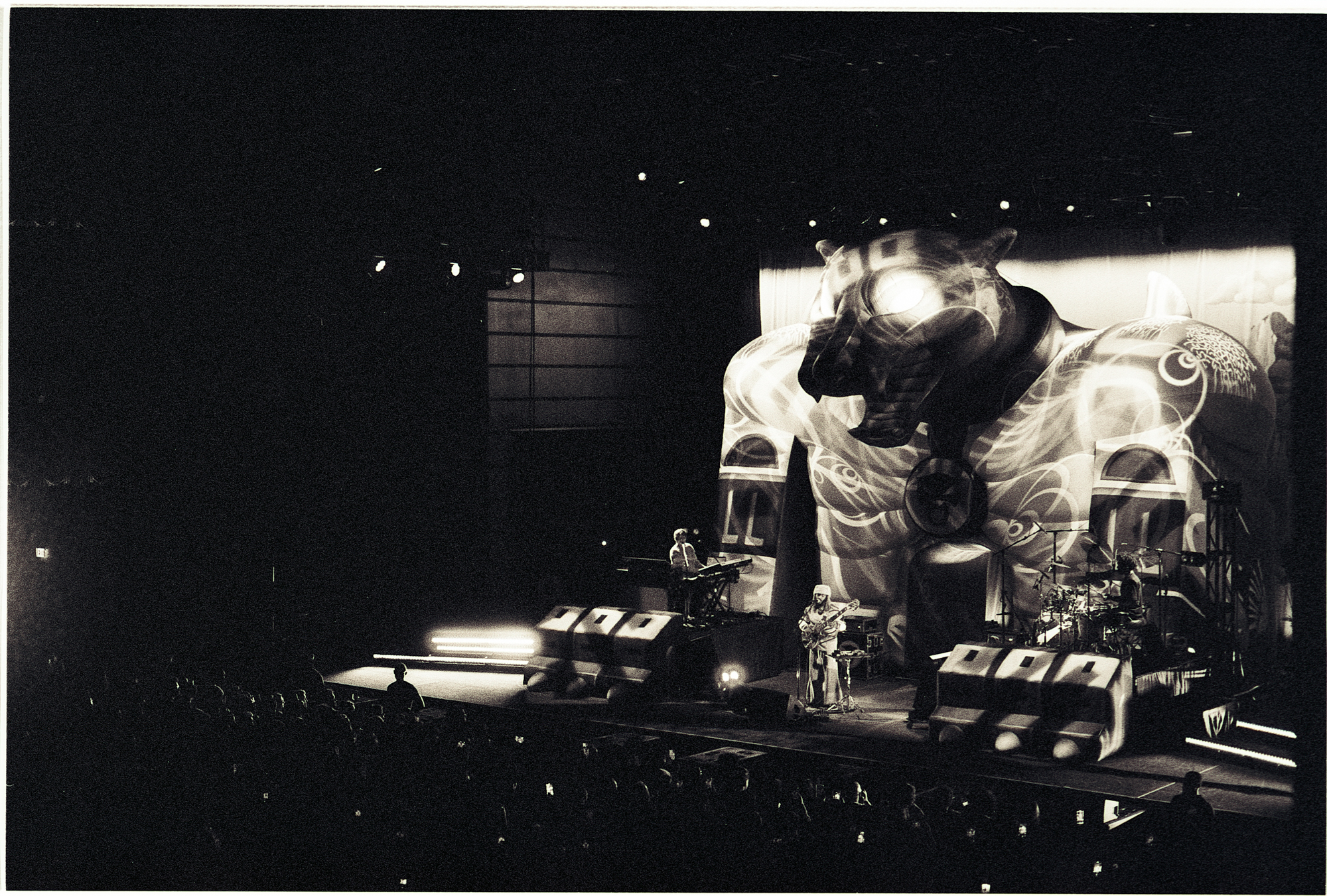 Thundercat @ The Anthem Washington DC 10.19.23 35mm Film Photo by Casey Ryan Vock