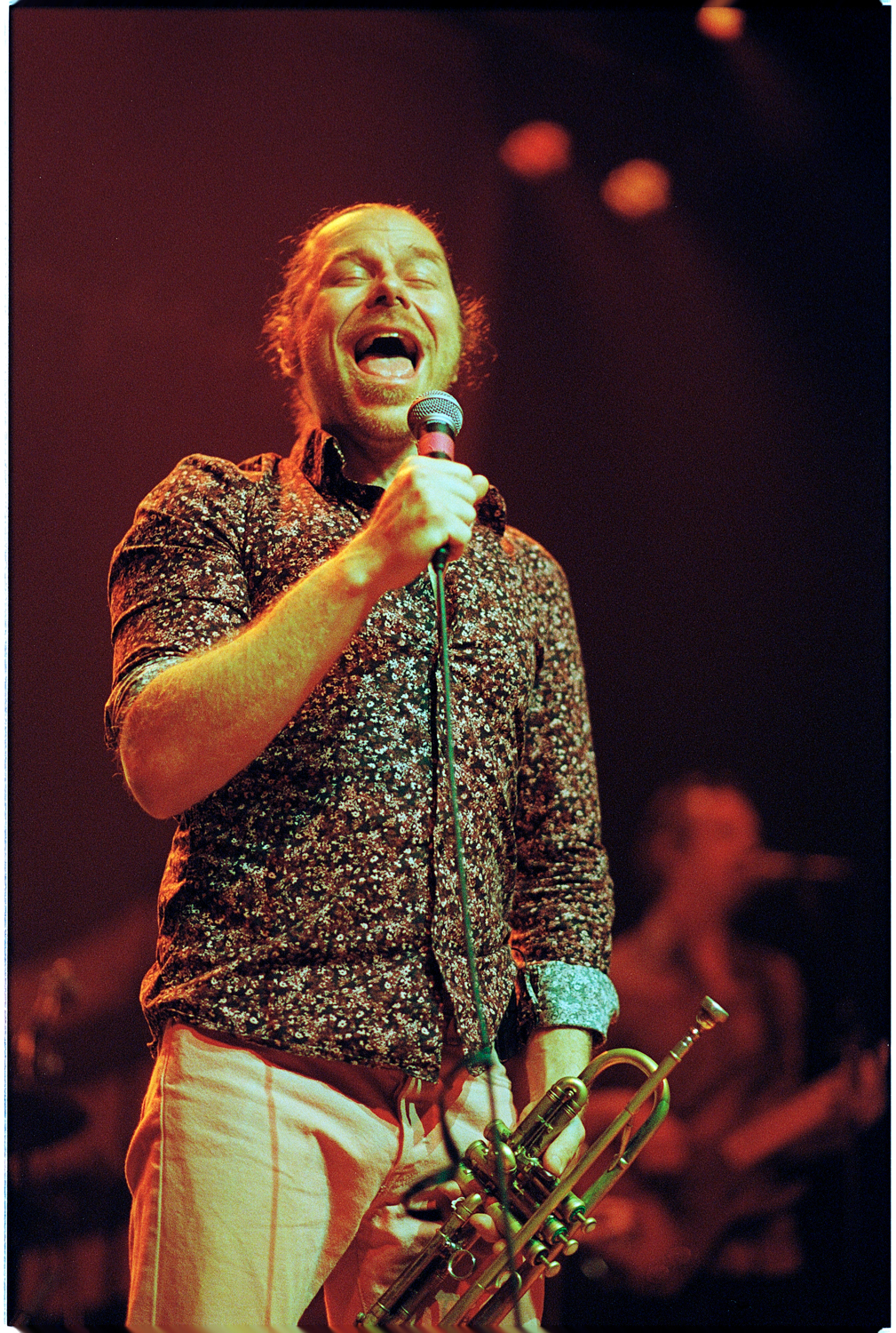 California Honeydrops