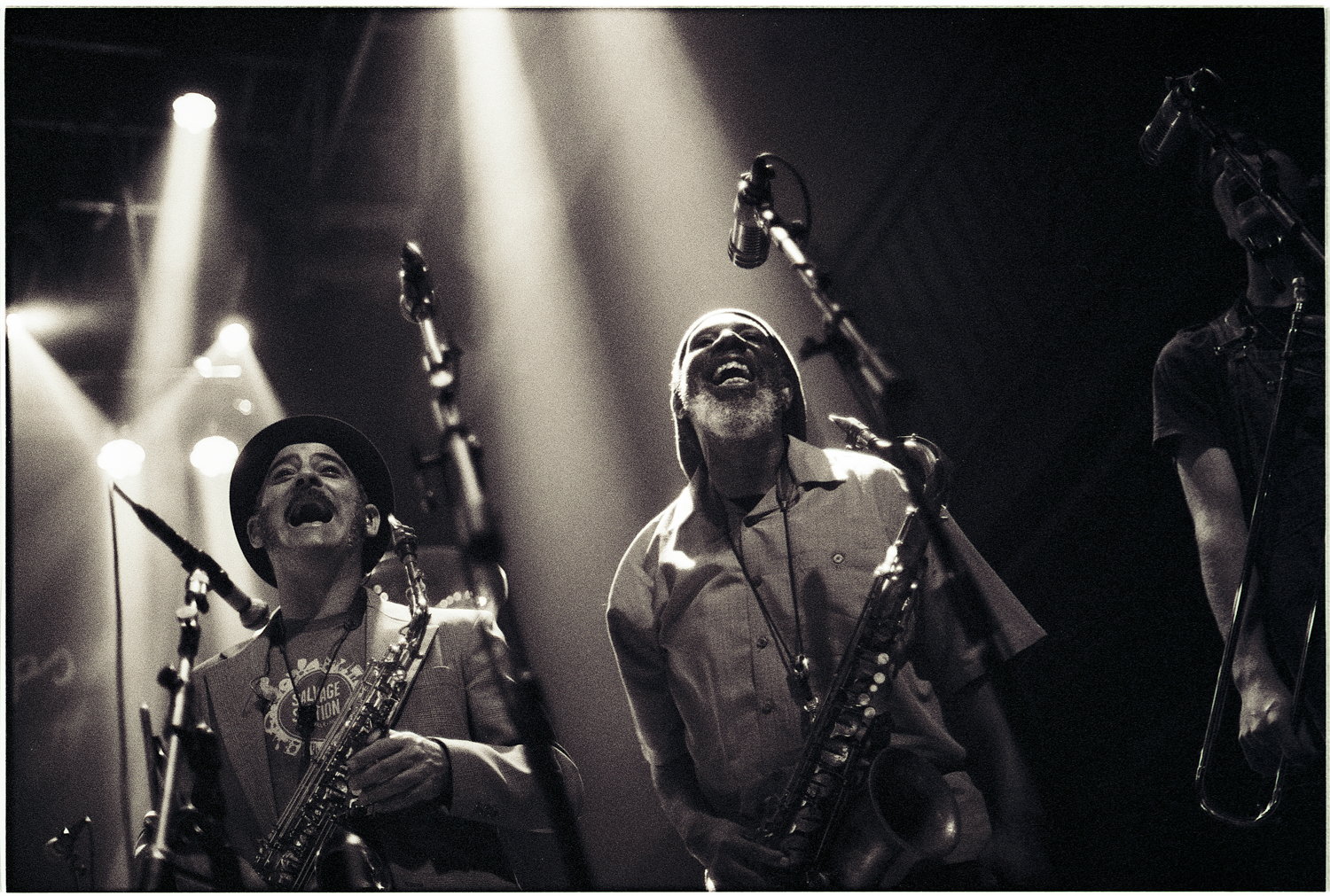 California Honeydrops