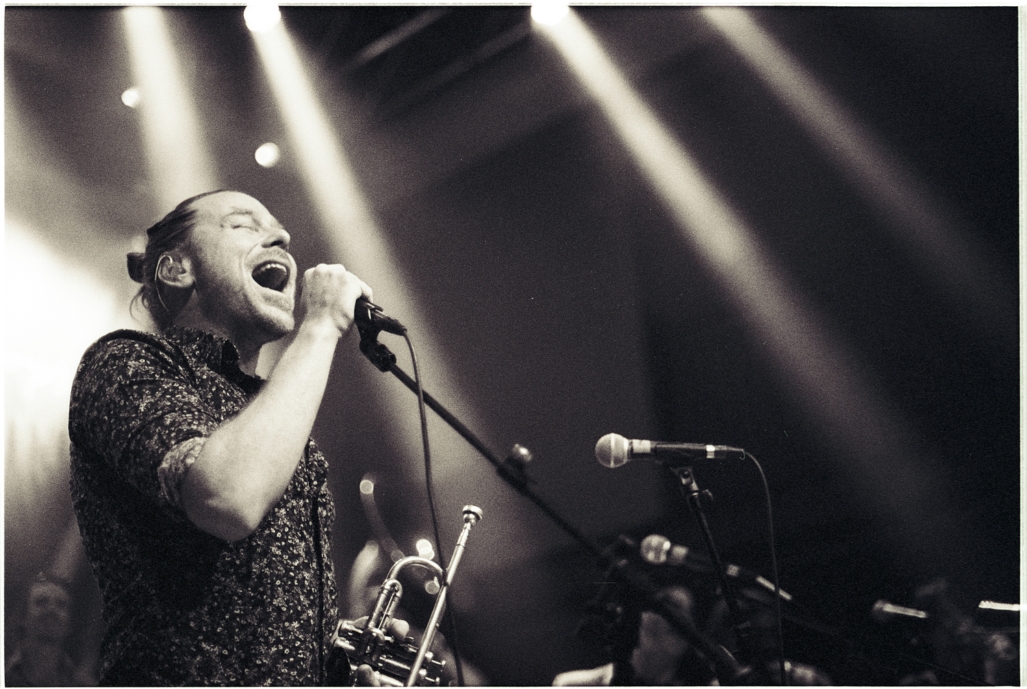 California Honeydrops