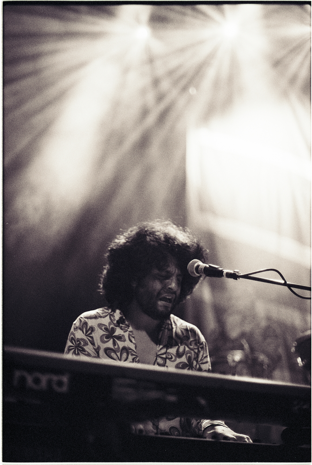 California Honeydrops