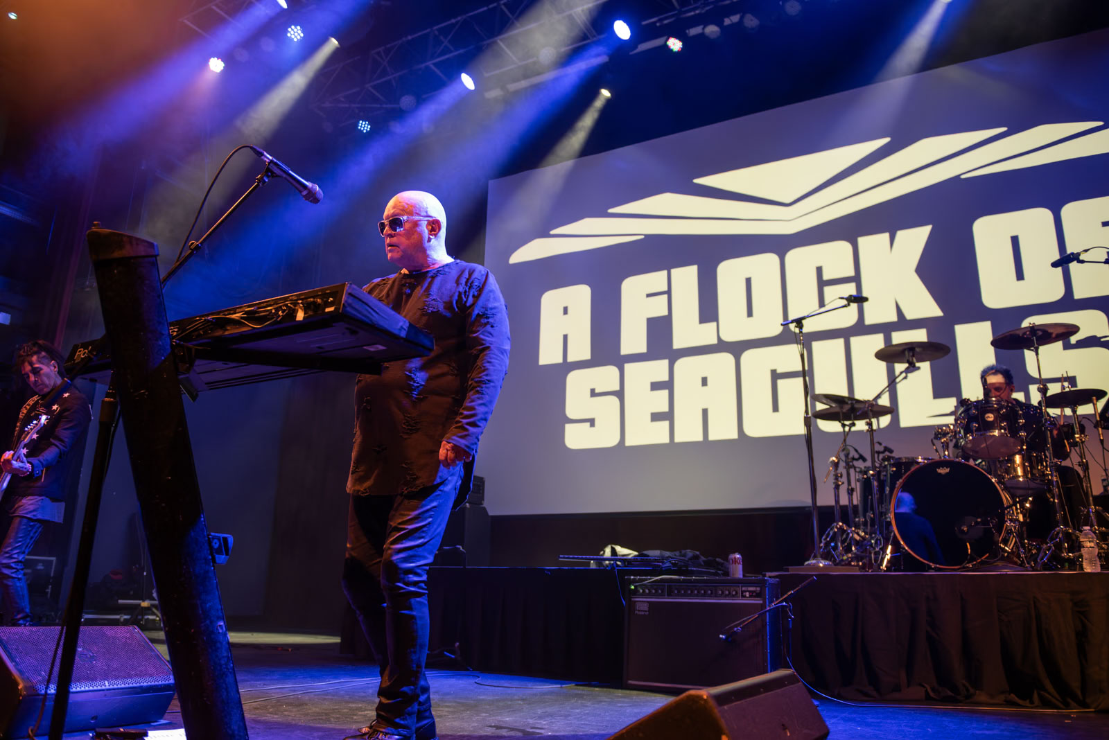 A Flock of Seagulls A Flock of Seagulls