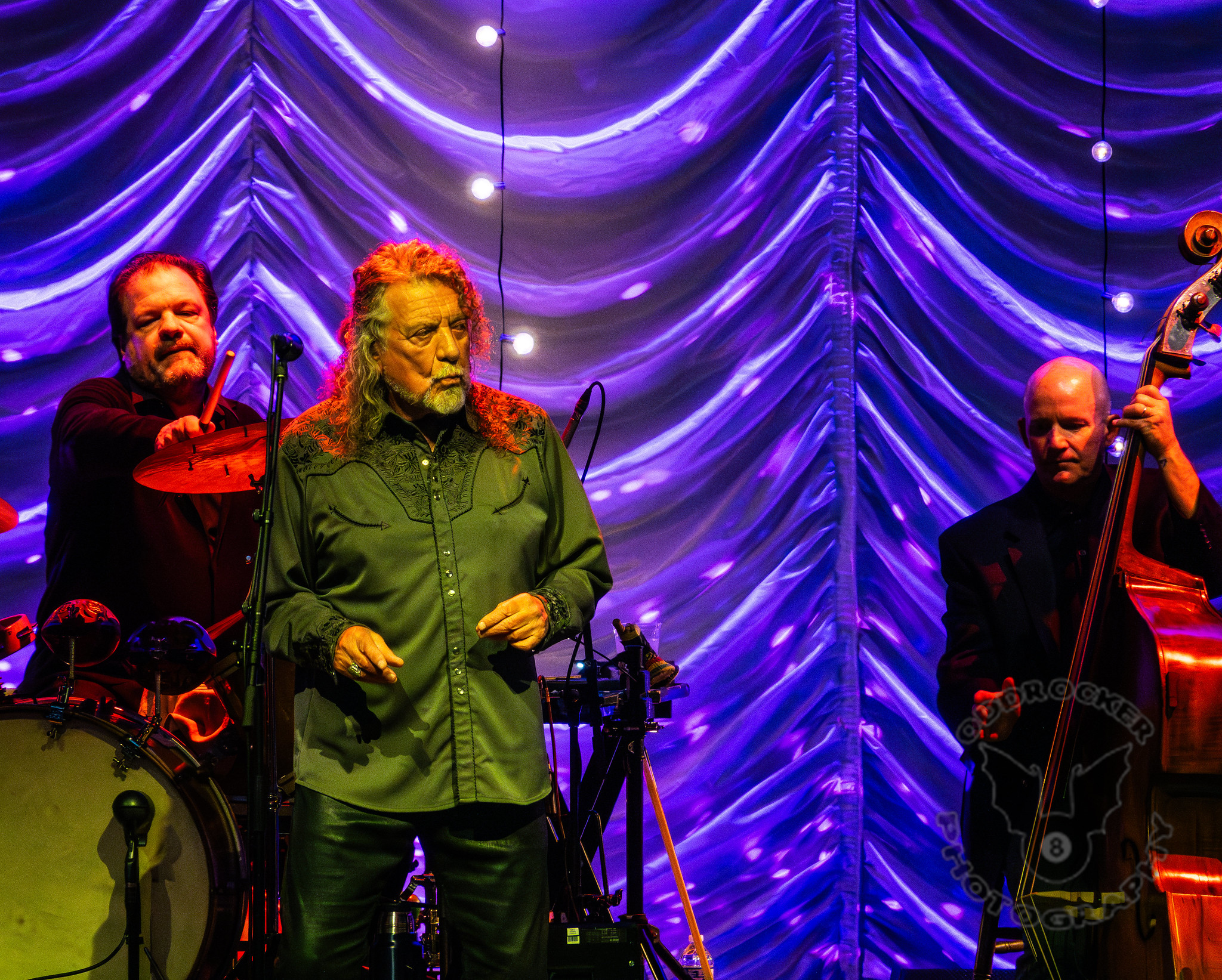 Robert Plant Robert Plant