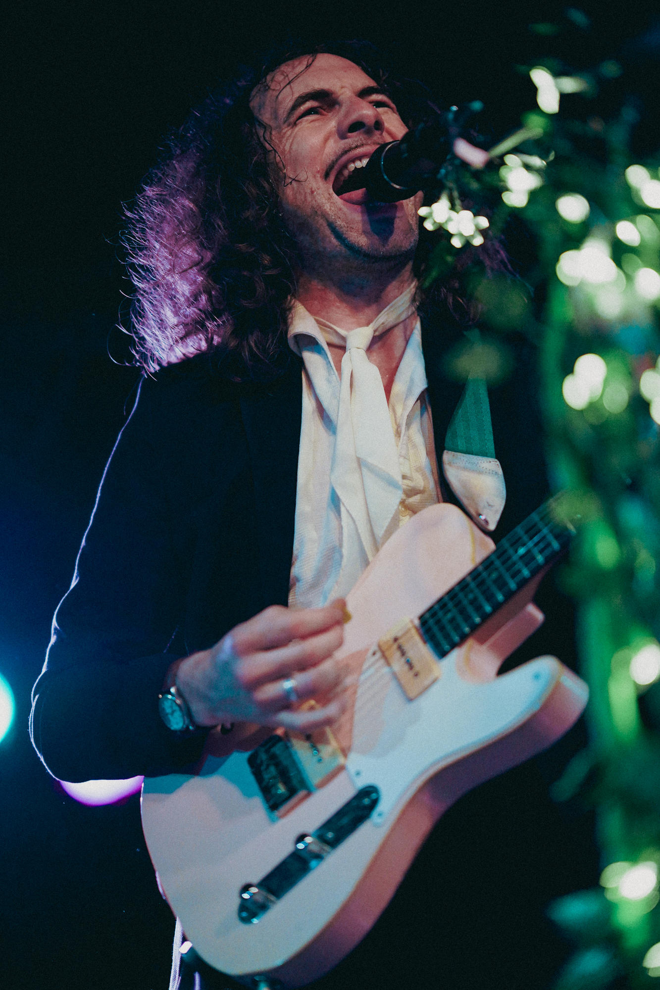 Shannon and The Clams