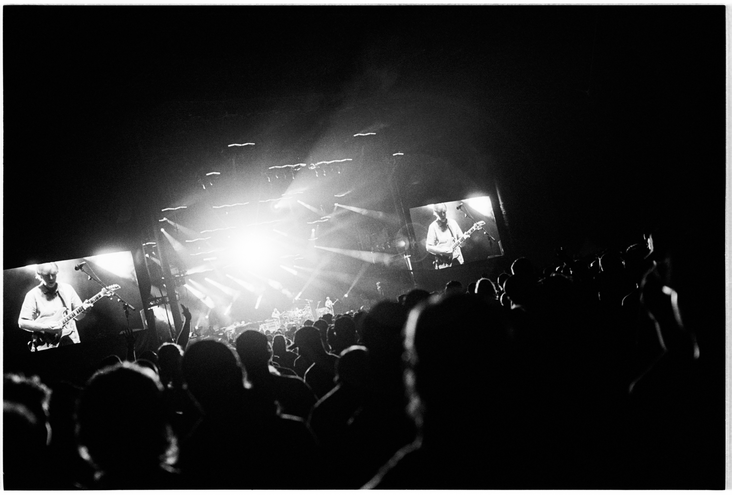 Phish Mondegreen August 2024 The Woodlands Dover Delaware 35mm Film Photo by Casey Ryan Vock