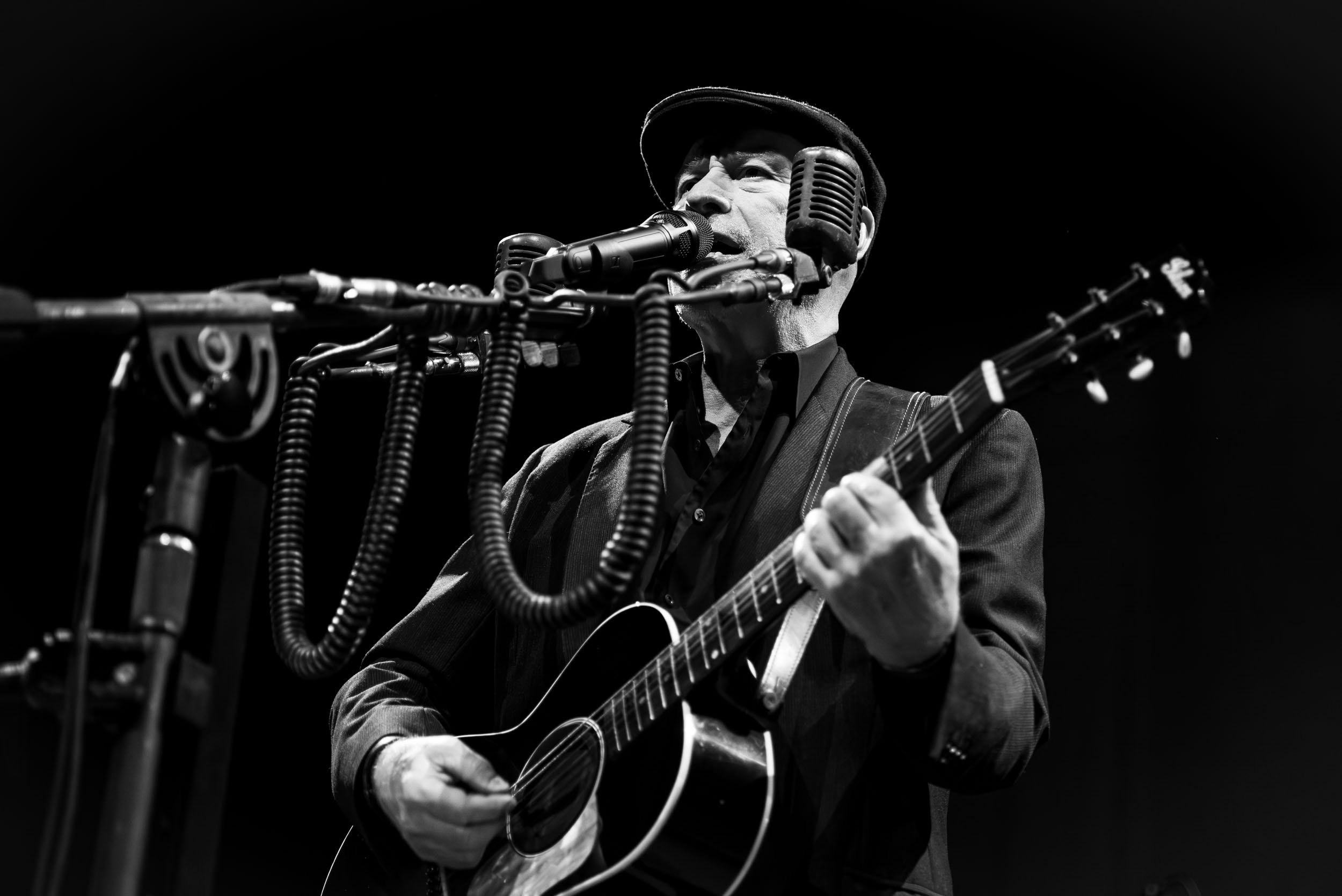 The The Matt Johnson