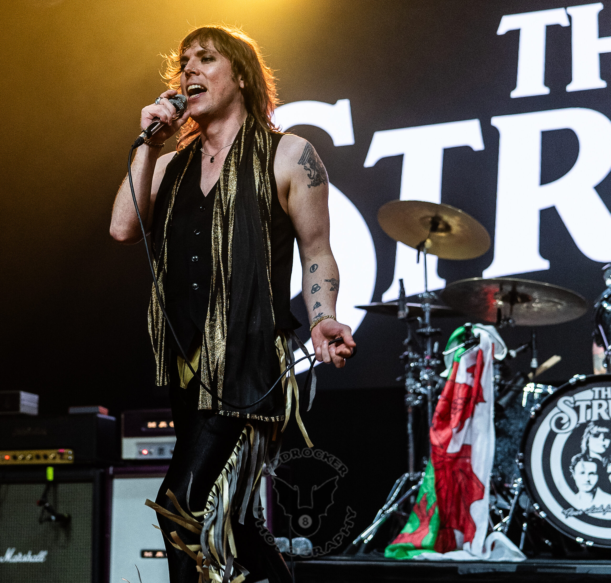 The Struts The Struts