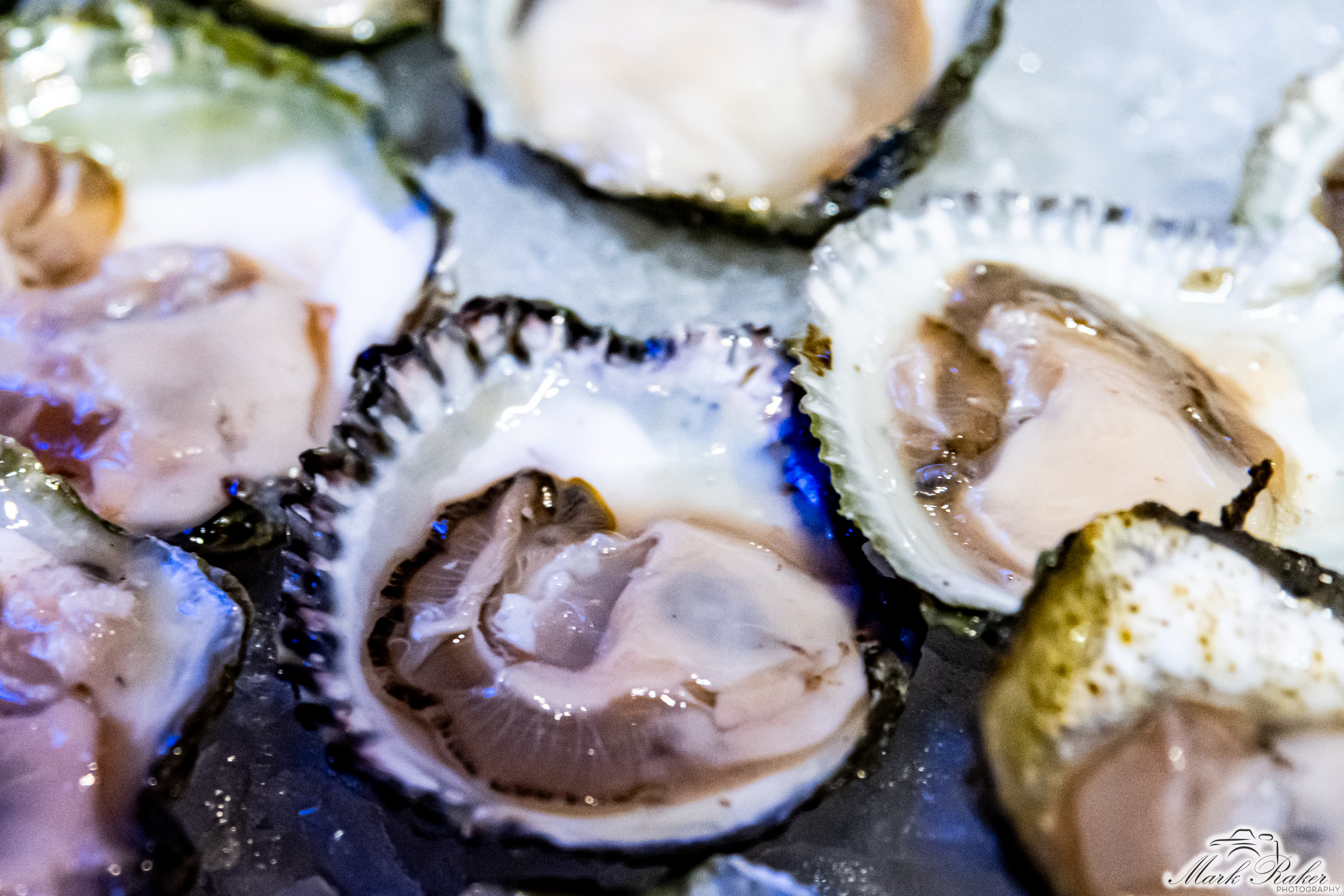 Oyster Riot Oyster Riot