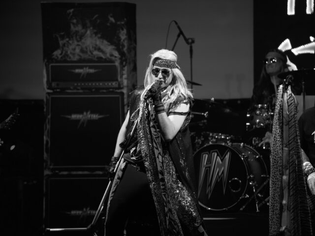 Herr Metal Herr Metal