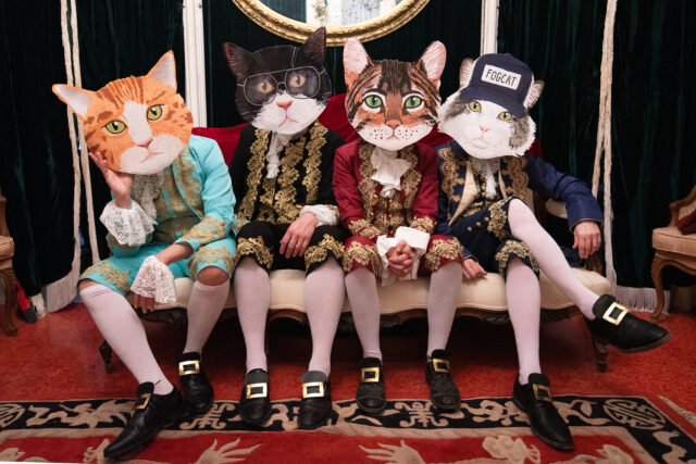 Fantastic Cat Fantastic Cat